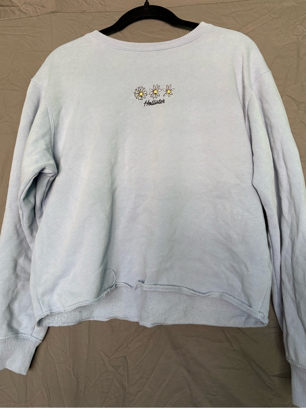 Hollister Pastel Blue Crewneck with Daisy Embroidery